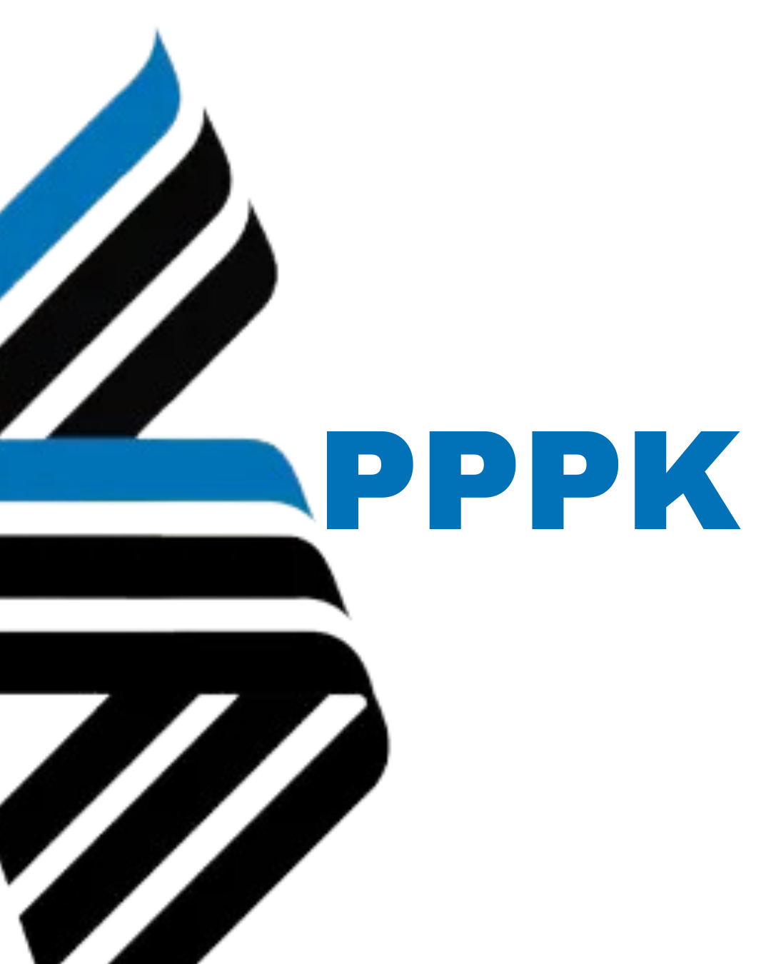 CPNS
